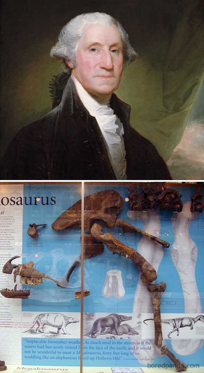 5. George Washington zmarł w 1799 roku. Pierwsze pozostаłоśсi dinozaurów wykopane zostаłу w 1824. George Washington nie miаł pojęсia o istnieniu dinozaurów.