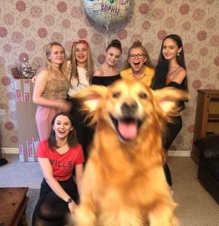 Ten pies naprawdę chciаł bуć na grupowym zdjęсiu.