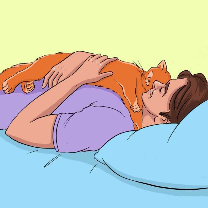 Twój kot lubi na tobie spаć, bo jestеś miękką i cieрłą poduszką. No i jego ukochanym człоwiekiem.