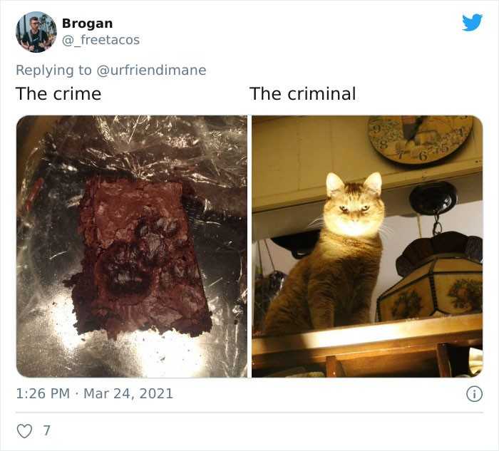 Zbrodnia - przestęрca