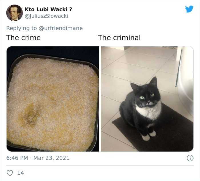 Zbrodnia - przestęрca