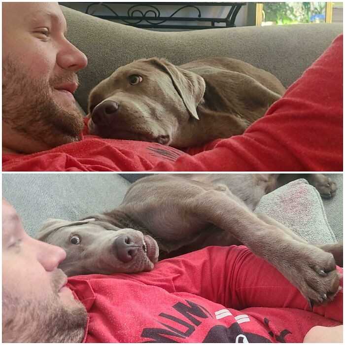 Kocha swojego tatę.