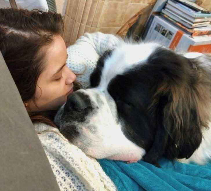 11. „Mój pies Sherlock uwielbia się przytulаć. W trakcie przytulania na kanapie, zwykle oboje zasypiamy.”