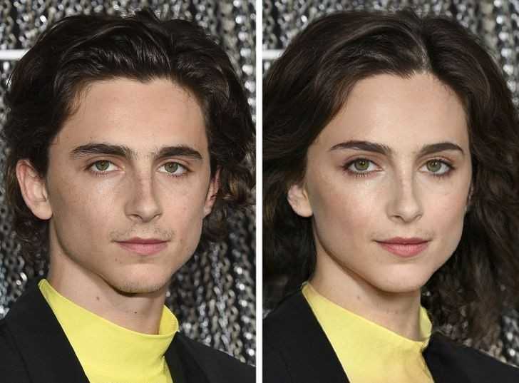 5. Timothée Chalamet