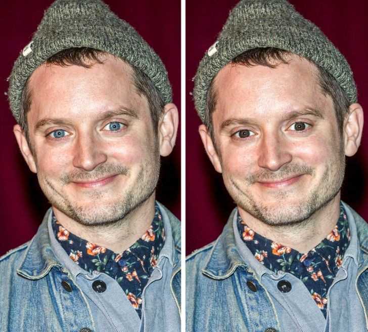 Elijah Wood