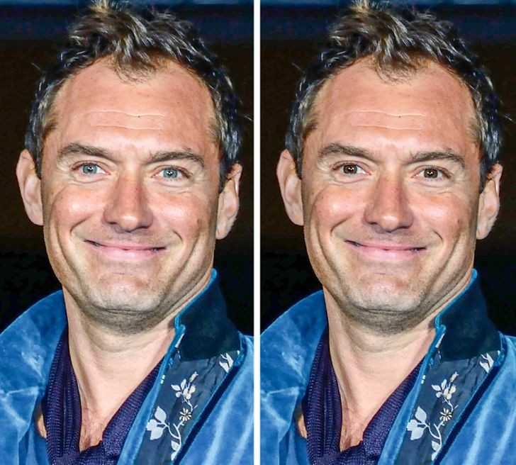 Jude Law