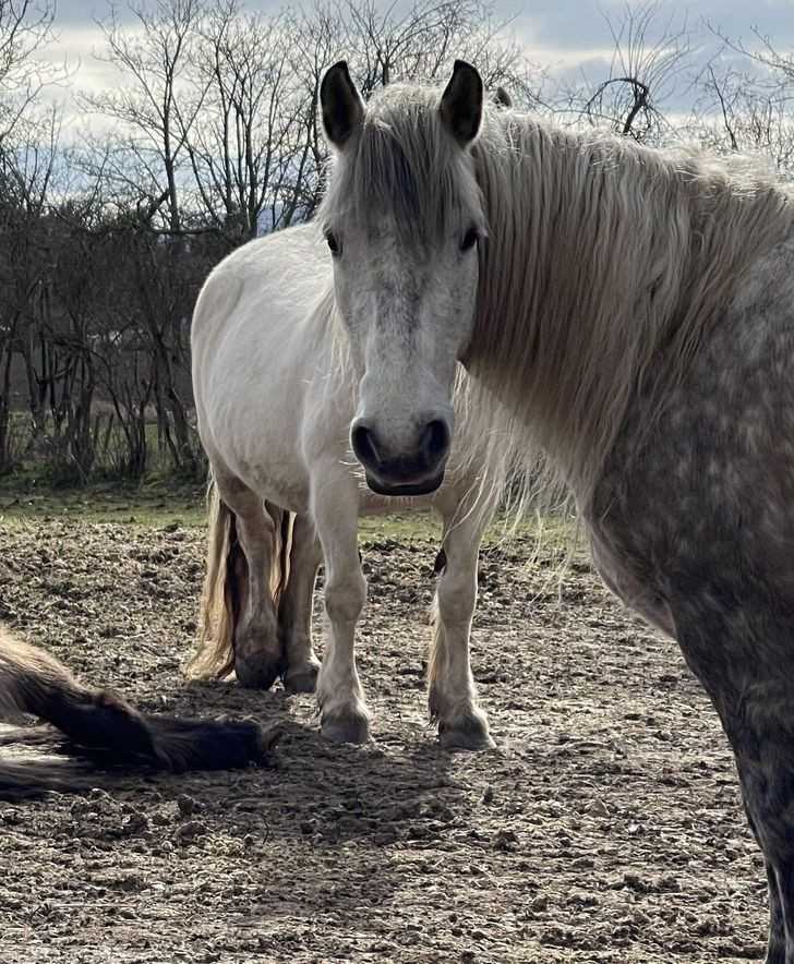 Piękna fotobomba