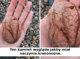 16 zwyczajnych rzeczy, które wyglądają jak coś zupełnie wyjątkowego