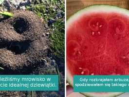 17 zdjęć tak perfekcyjnych, że aż trudno uwierzyć w ich autentyczność