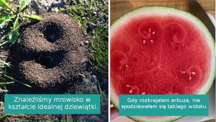 17 zdjęć tak perfekcyjnych, że aż trudno uwierzyć w ich autentyczność