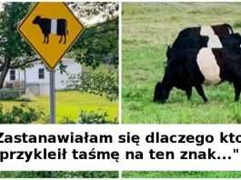 17 sytuacji, w których kreatywność i poczucie humoru stworzyły małe arcydzieła