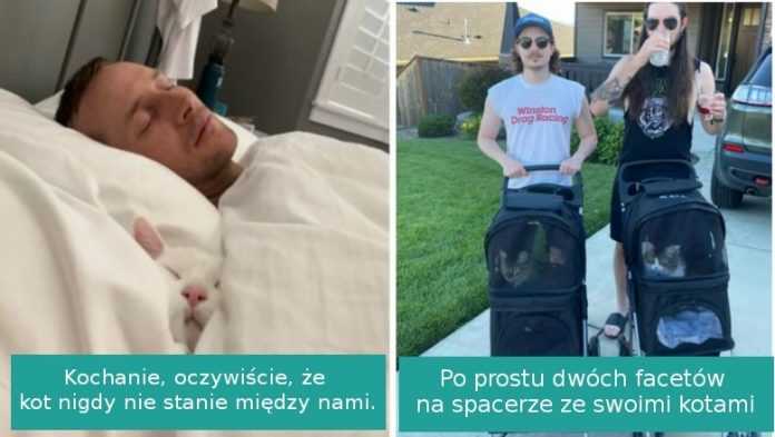 18 rozpieszczonych kotów, którym żyje się lepiej niż wielu ludziom