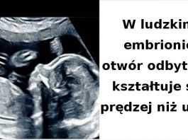 19 mało przyjemnych faktów, które mogą zmienić sposób w jaki postrzegamy świat