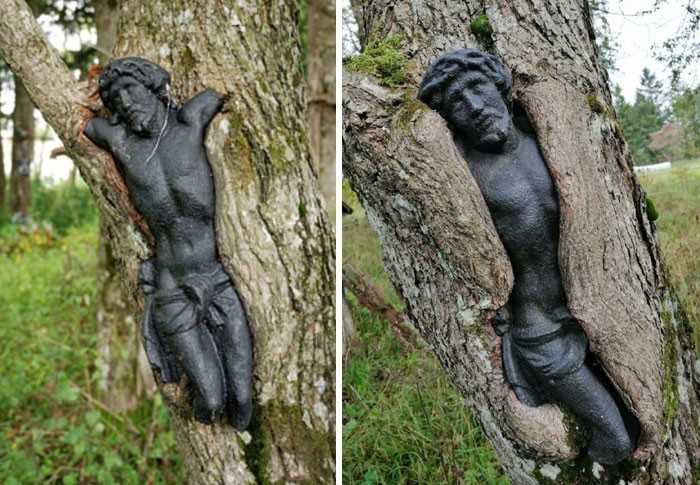 Rzеźba Jezusa na opuszczonym polskim cmentarzu, stopniowo wchłаniana przez drzewo. Zdjęсia zrobione w odstęрie 12 lat.