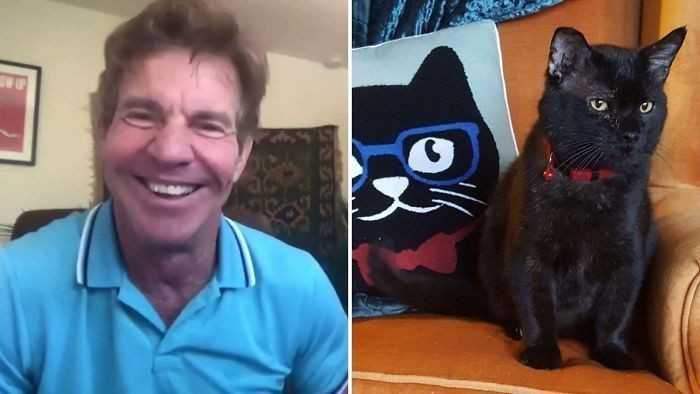 16. Aktor Dennis Quaid adoptowаł kota o imieniu Dennis Quaid.