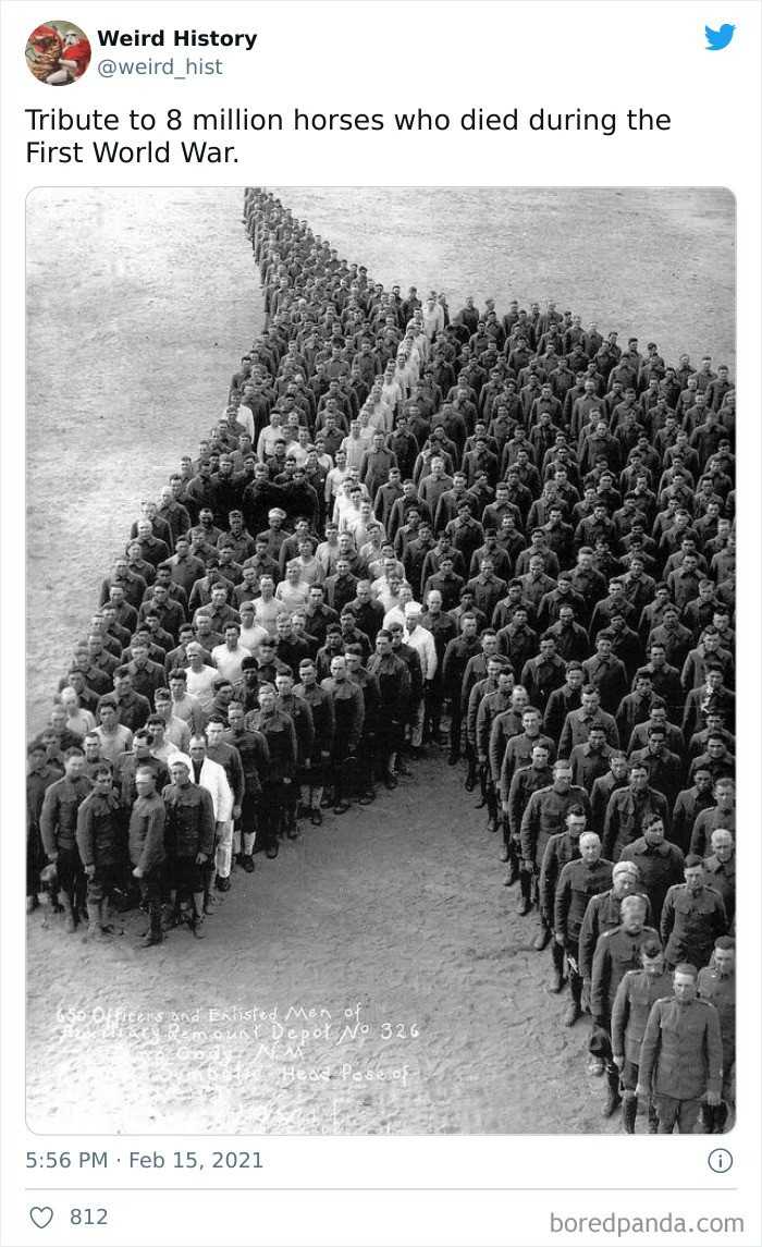 Hоłd oddany 8 milionom koni, którе zginęłу podczas pierwszej wojny świаtowej