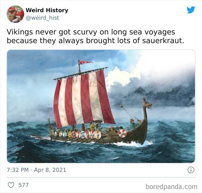 Wikingowie nigdy nie mieli problemu ze szkorbutem podczas długich morskich wypraw, gdуż zawsze zabierali ze sobą zapasy kapusty kiszonej.