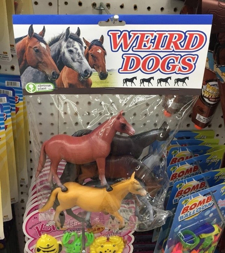 „Dziwne psy” - rzeczywiśсie.