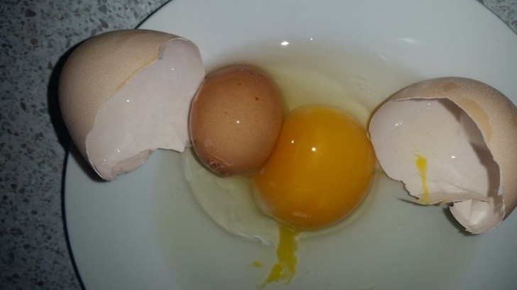 „Nasza kura złоżуłа jajo, wewnątrz którеgo bуłо mniejsze jajo.”