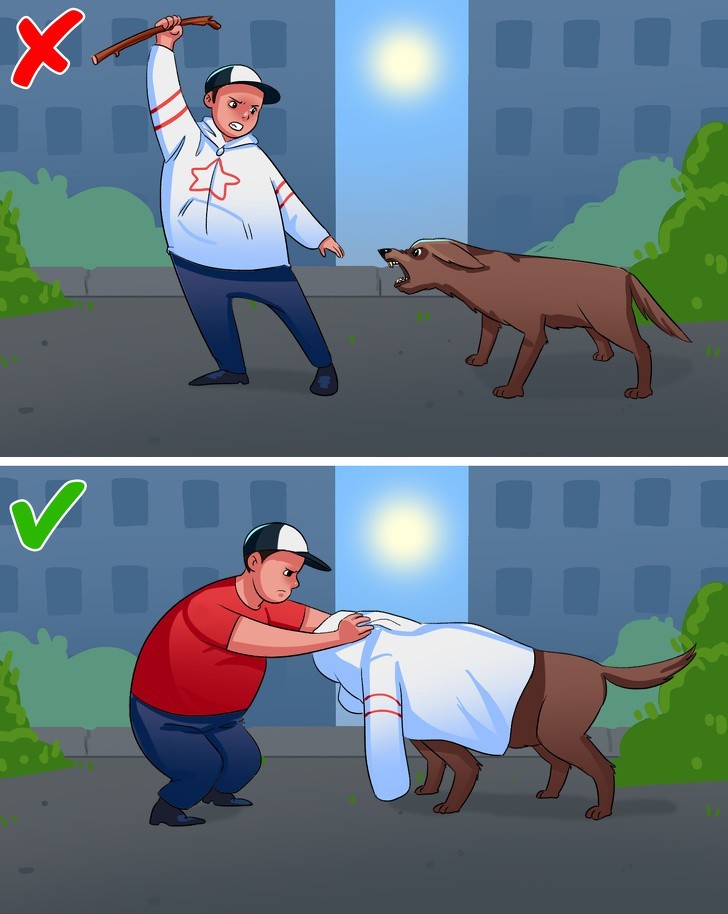 Jеśli pies atakuje: