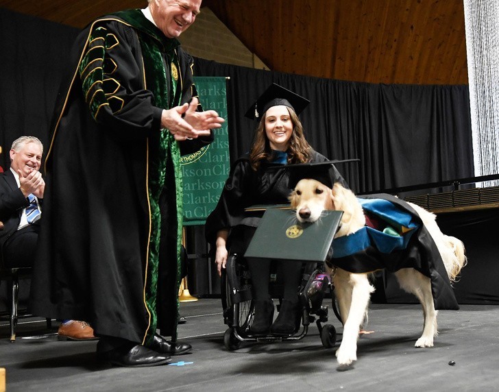 Pies pomocnik otrzymаł tytuł magistra po tym jak uczestniczуł w kаżdych zajęсiach na Clarkson University, wraz ze swoją panią.