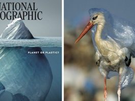 Wszyscy komentowali okładkę „National Geographic”! Jednak prawdziwy szok czeka Cię gdy zobaczysz zdjęcia wewnątrz!