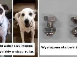 15 niezwykłych przykładów ukazujących piętno, jakie odciska upływający czas