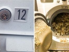 Ci ludzie naprawdę poczuli co to znaczy „mieć pecha”! Jeśli masz gorszy dzień, koniecznie spójrz na te zdjęcia!