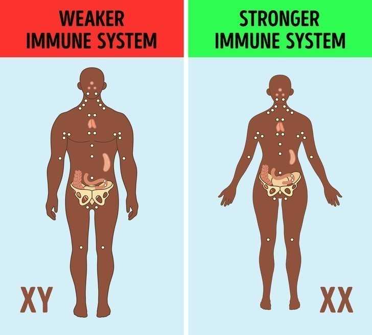 4. Chromosom X to сzęść silnego ukłаdu odpornоśсiowego