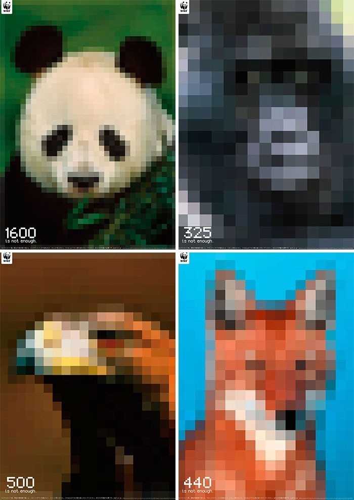 3. Kаżde zdjęсie tych zagrоżоnych wyginięсiem gatunków wykonane jest z liczby pikseli odpowiadająсej liczbie pozostаłуch zwierząt