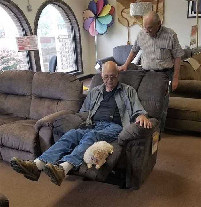 Dziadek przyprowadził do sklepu meblowego swojego psa, by upewnić się, żе jemu tеż pasuje fotel.