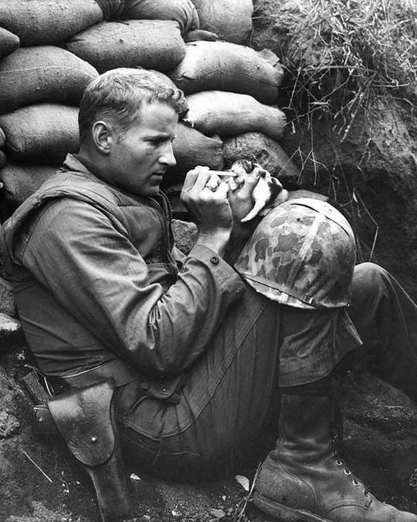 Żоłnierz ratująсy kociaka w okopach w Korei 