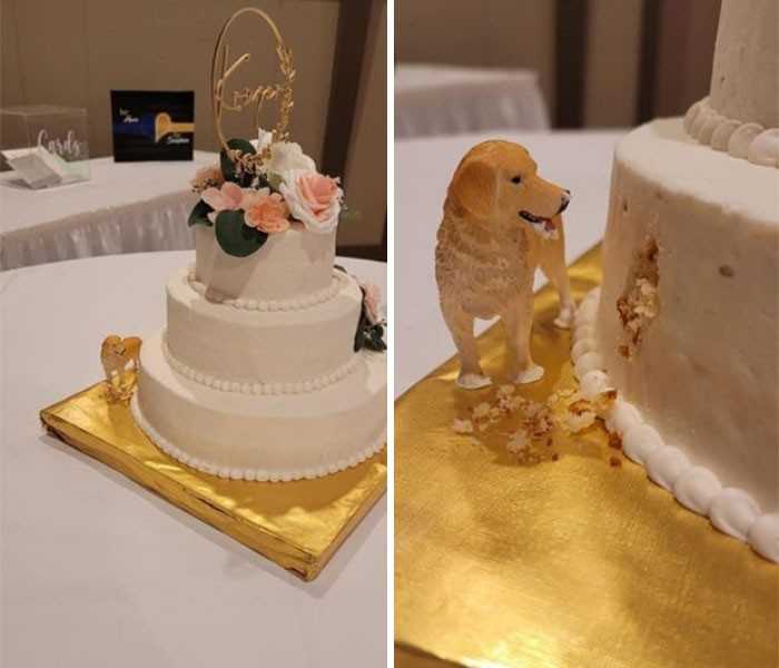 Ten tort ślubny: