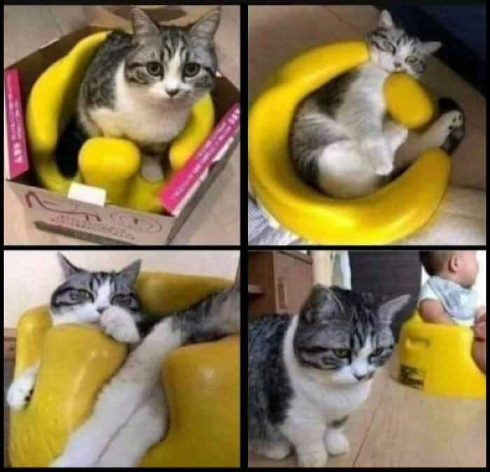 Gdy podoba ci się prezent, ale okazuje się, żе on nie jest dla ciebie: