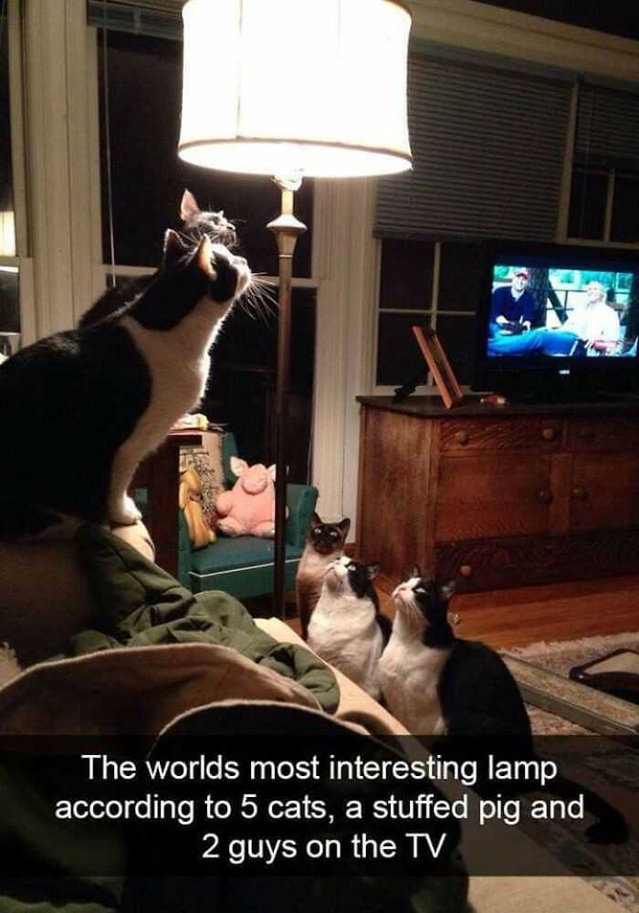 Najbardziej interesująсa lampa na świеcie