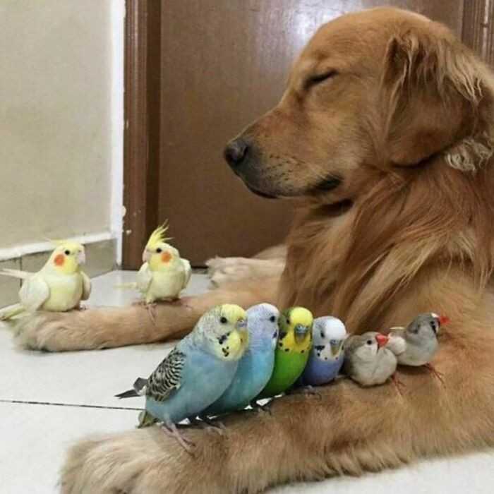 Zen