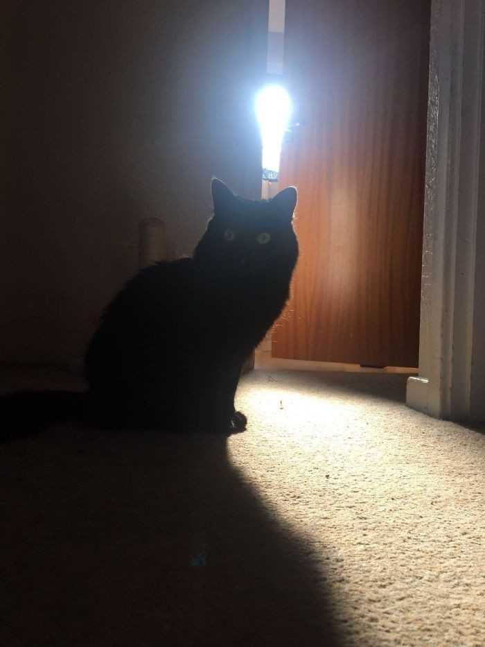 11.
