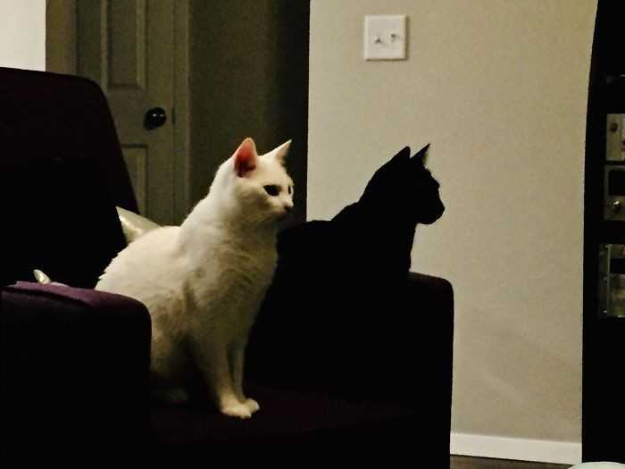 3.