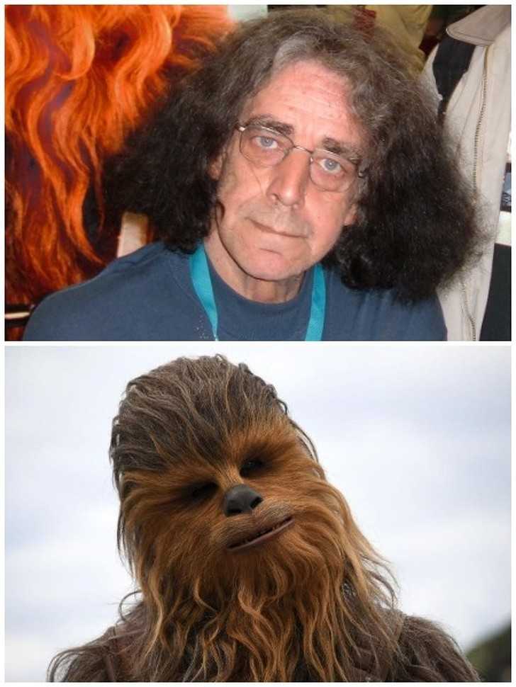 9. Peter Mayhew jako Chewbacca w