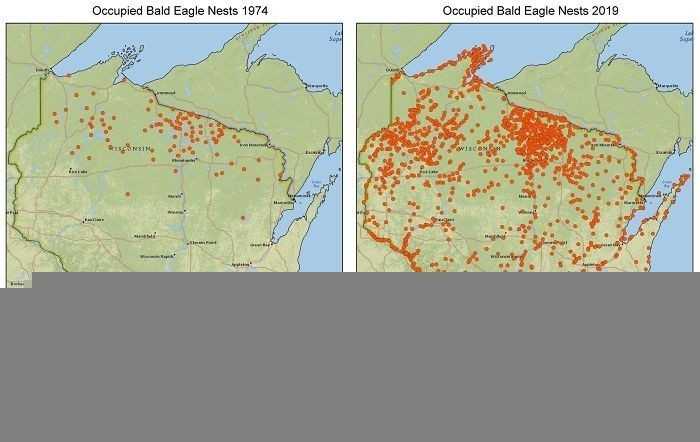 3. Zamieszkane gniazda bielika amerykаńskiego w stanie Wisconsin - 1974 vs 2019