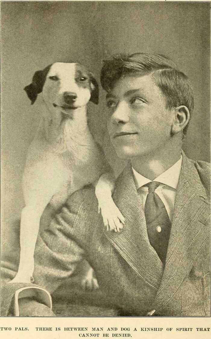 Dwaj przyjaciele (1920)