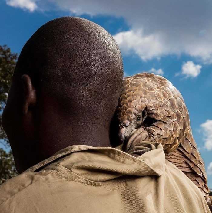 7. Brent Stirton