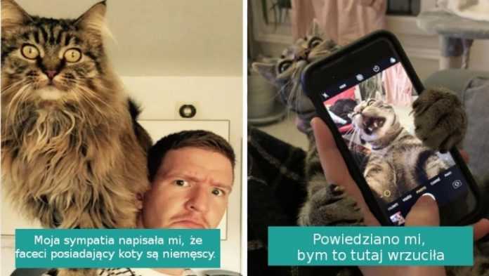 20 najzabawniejszych zdjęć kotów wrzuconych przez ich właścicieli do Internetu