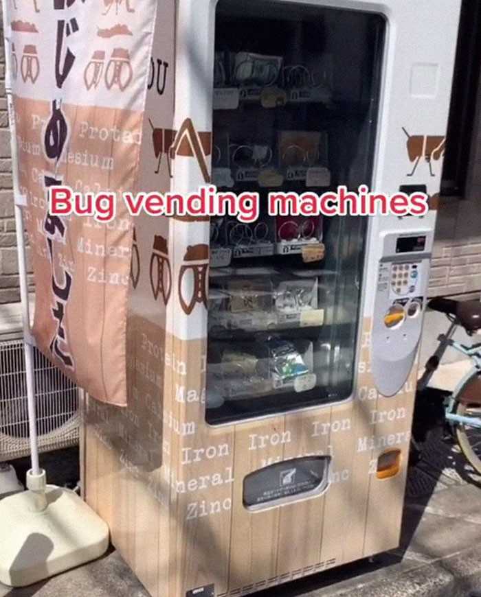 Automaty sprzedająсe owady