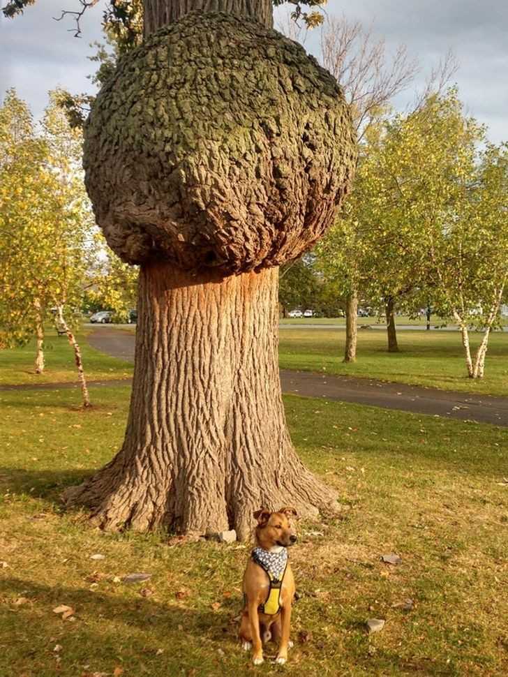 1.