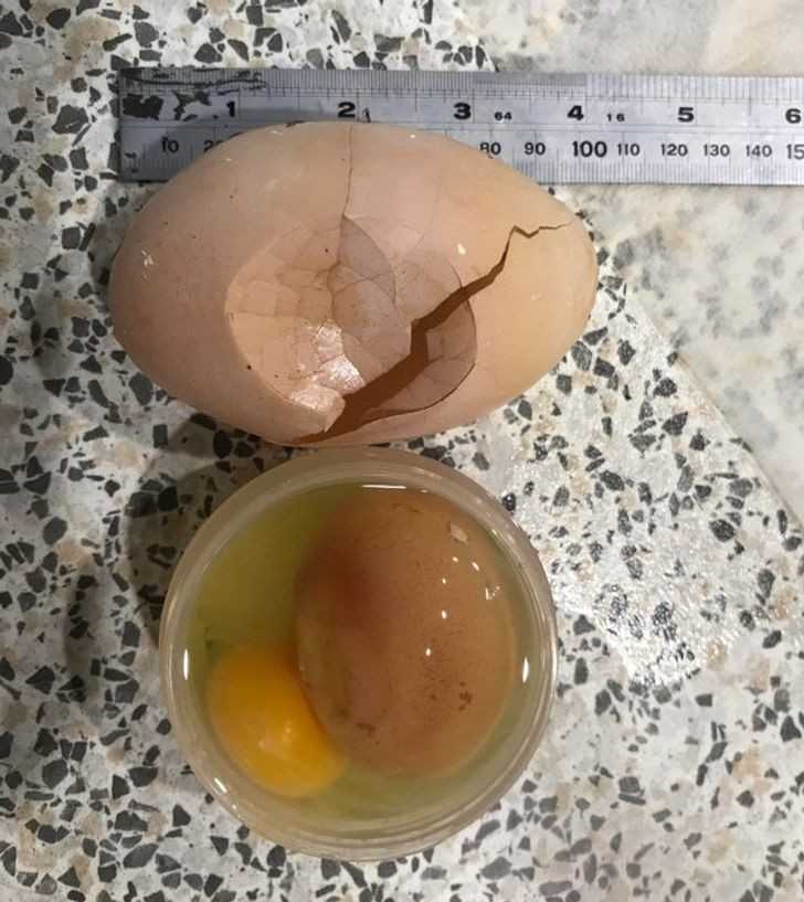 6.