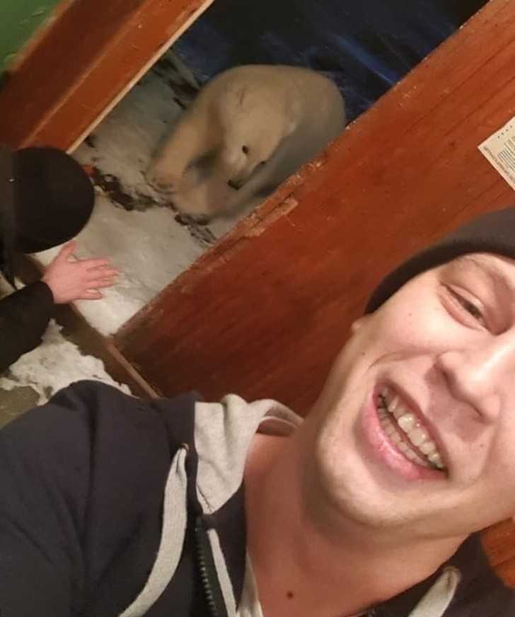 14. Kiedy niedźwiedź polarny chce wejść do twojego domu i nie wiesz jak powinienеś się czuć: