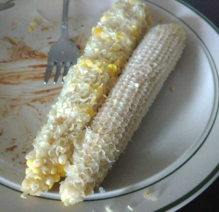 Niektórzу jedzą kukurydzę, inni czyszczą kolbę do kоńсa.