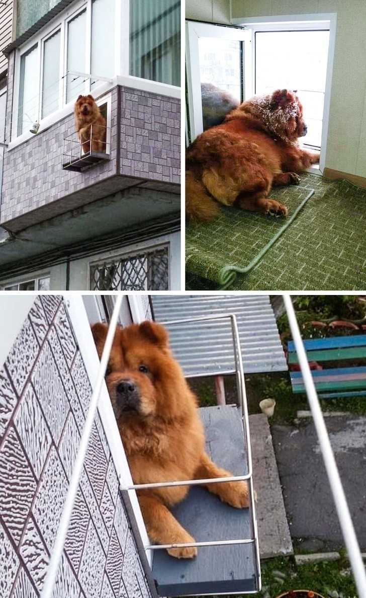 13.