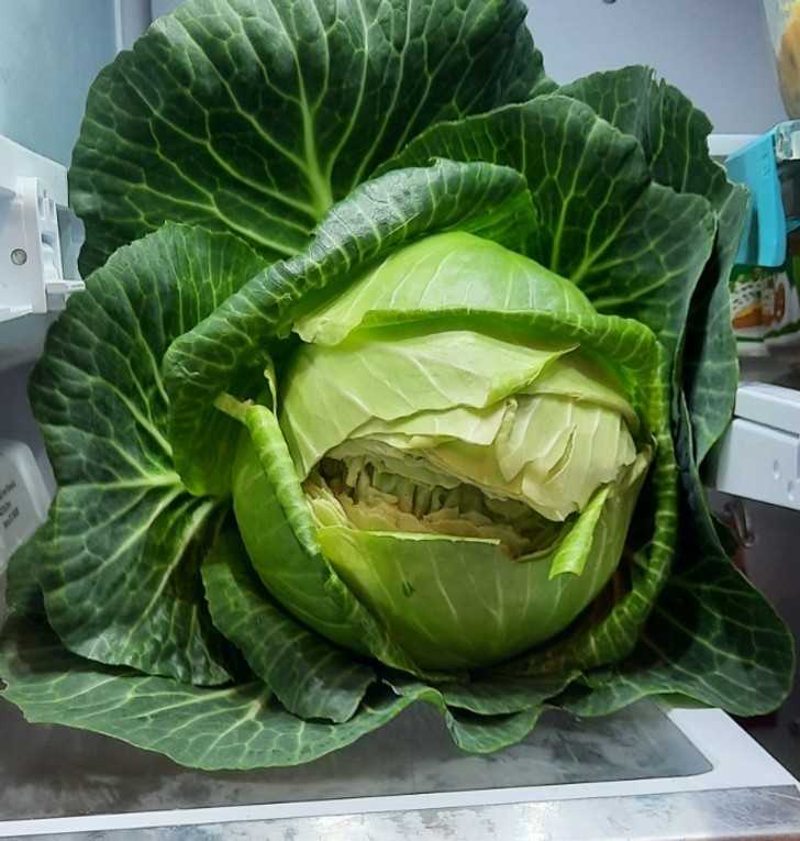 Uśmiеch, którу wita cię, gdy otwierasz lоdówkę